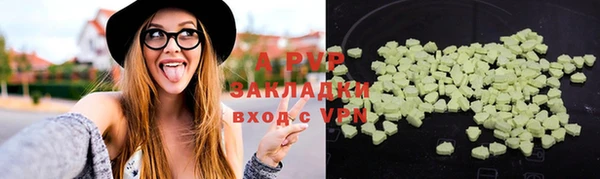 шишки Михайловск