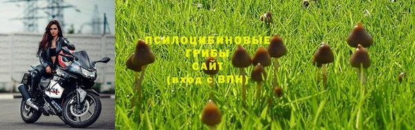 шишки Михайловск