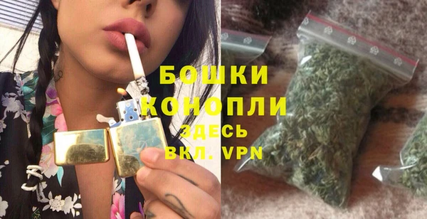 шишки Михайловск