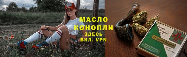 шишки Михайловск