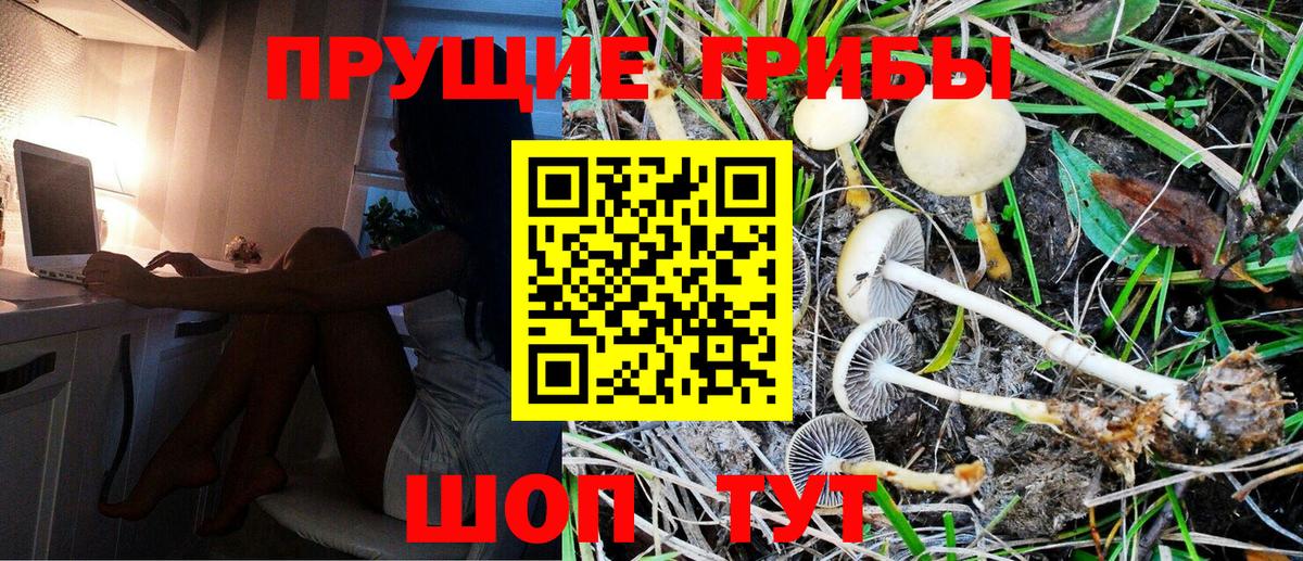 Галлюциногенные грибы мухоморы Ишим