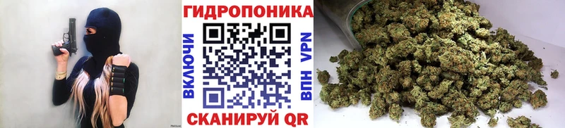 Бошки Шишки сатива  Ишим 