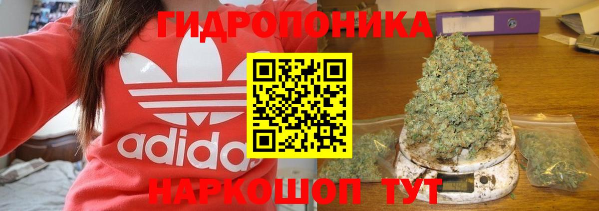 Канабис Amnesia  Каннабис Ganja  МАРИХУАНА Amnesia  Ишим  Вход с VPN 