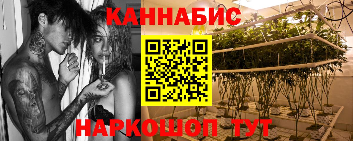 Конопля индика Ишим